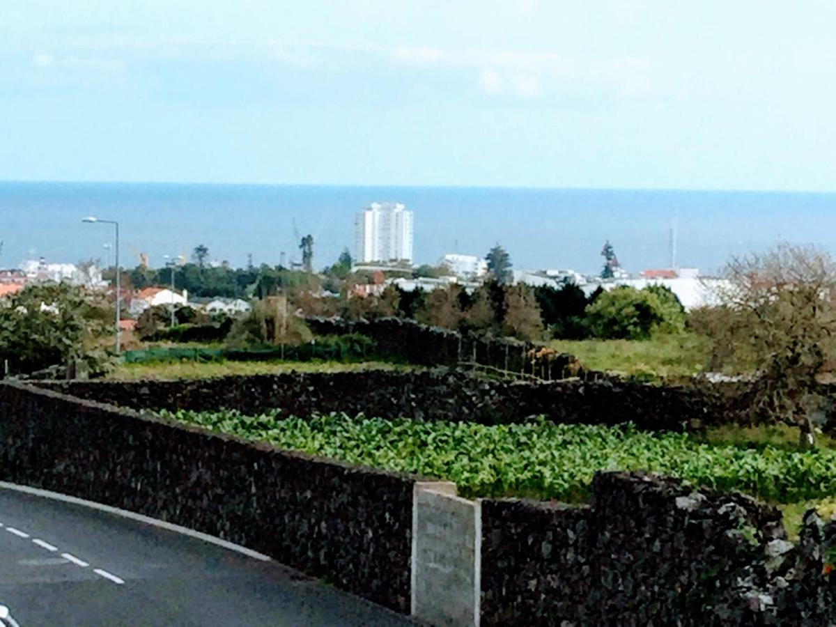 Apartamento Do Parque Apartment Ponta Delgada  Bagian luar foto